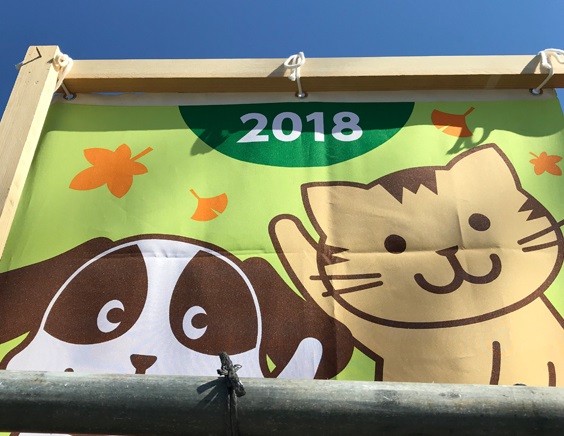 上家鉄骨建て方